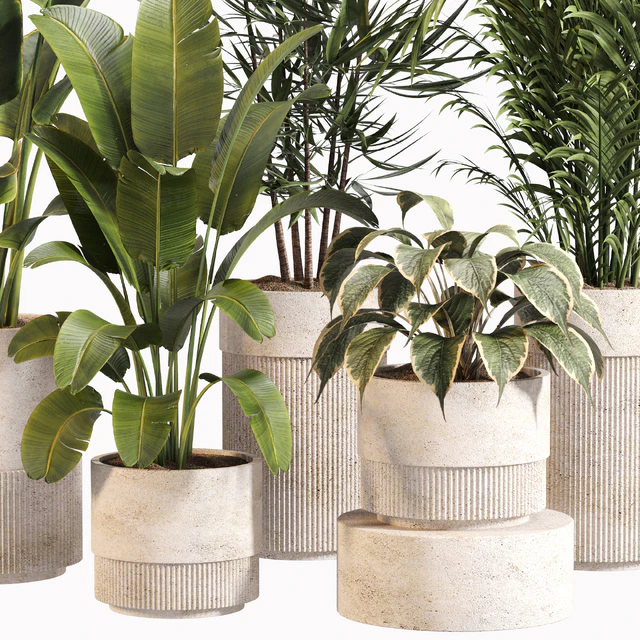 Indoor Plant Set 031 — Скачать