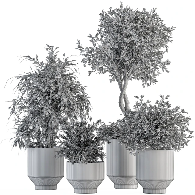 indoor Plant Set 308 - Tree and Plant Set in Black pot — Скачать