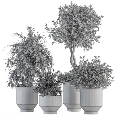 indoor Plant Set 308 - Tree and Plant Set in Black pot — Вид 6