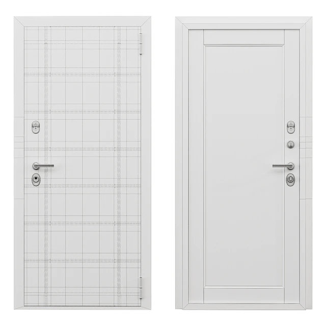 Entrance door Flush metal with a mirror — Descargar