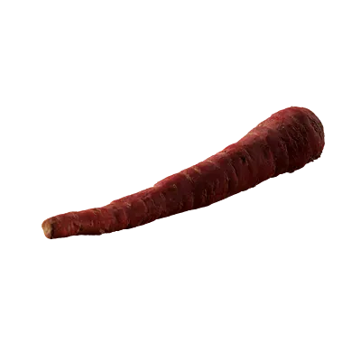 carrot 004 — Скачать