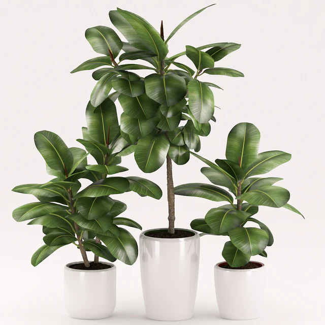 Plants 154 — Descargar
