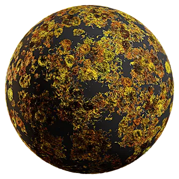 fresh and dried tagetes 002 — Скачать