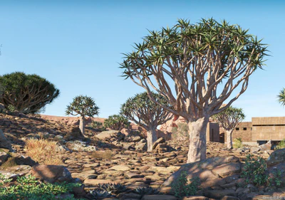 plant models vol 073 — Descargar