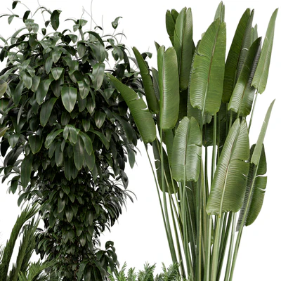Indoor Plants in rusty Concrete Pot - Set 542 — Ver 4
