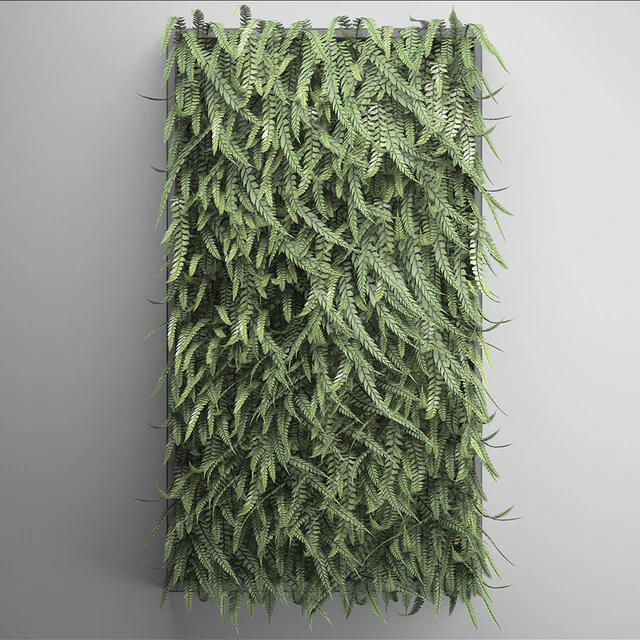 Vertical garden 17. FERN. Fern, phytowall, wall decor, phytomodule, bushes — Descargar