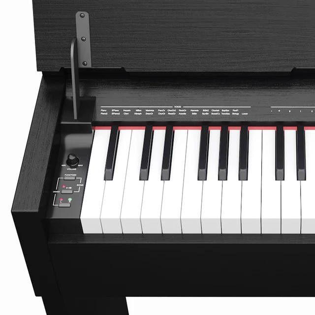 Thomann DP-33 B — Descargar