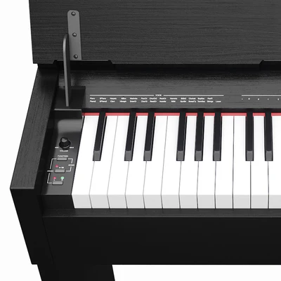 Thomann DP-33 B — Ver 3