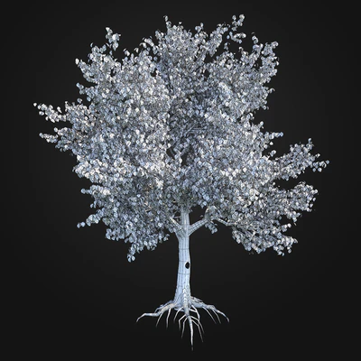 Apple Tree 1 — Вид 3