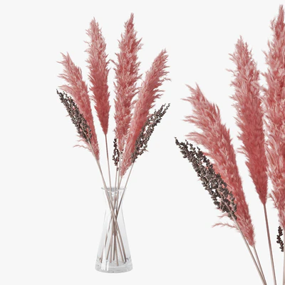 Pampas grass 04 — Ver 1