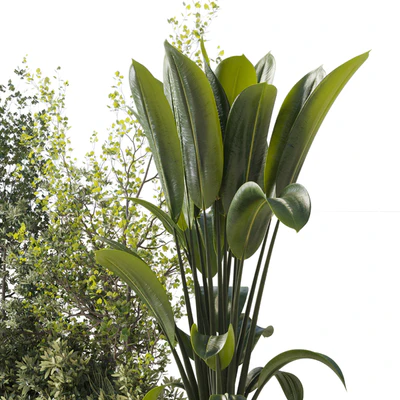 Urban Environment Urban Furniture Green Benches Set Plants Tree 29 — Вид 3