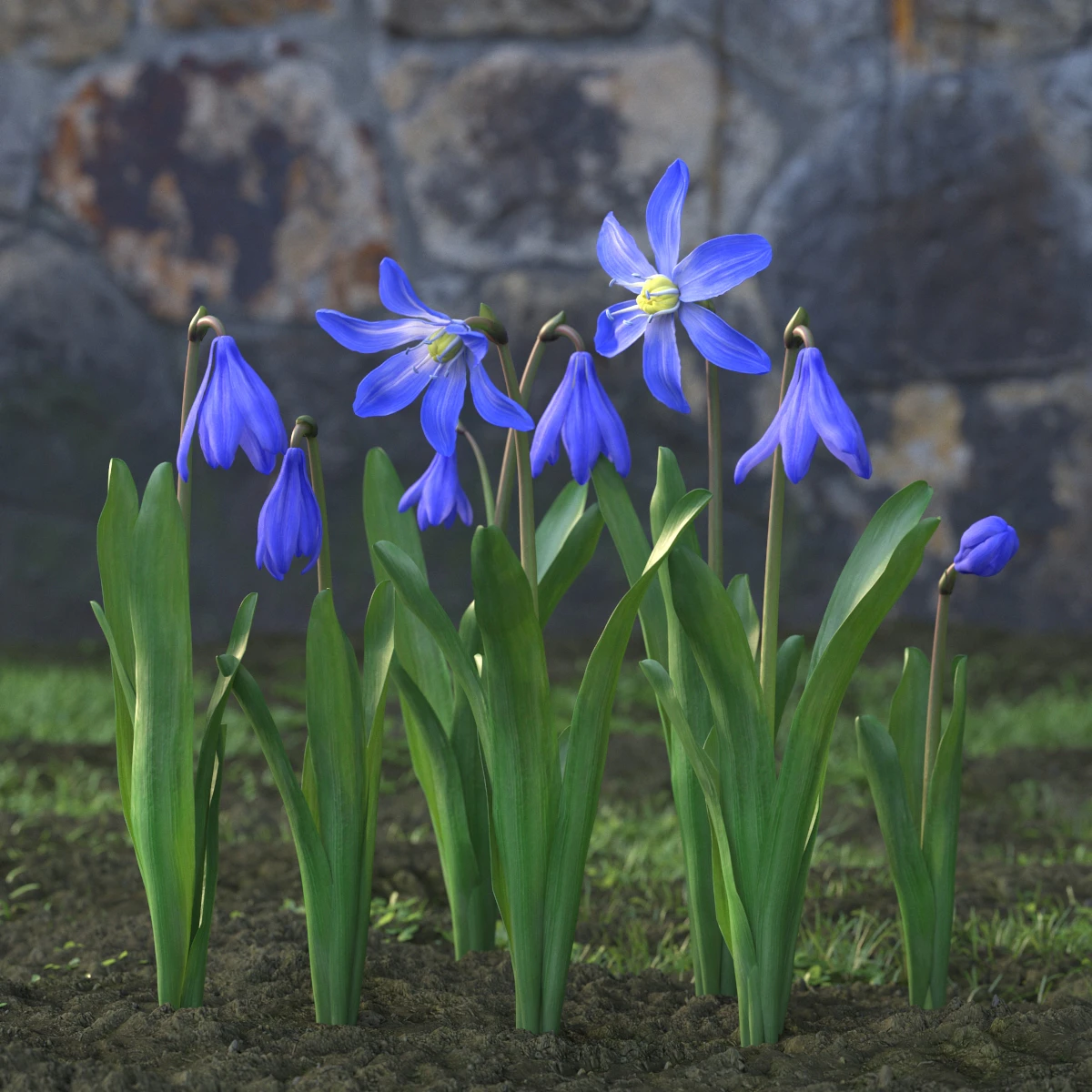 garden flowers 028 — Descargar