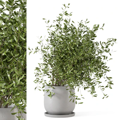 Indoor Plants in rusty Concrete Pot - Set 281 — Ver 1