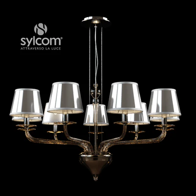Sylcom 2010-9 — Вид 1