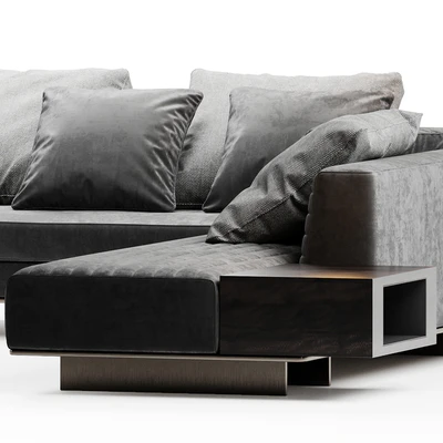 Minotti Roger — Вид 4