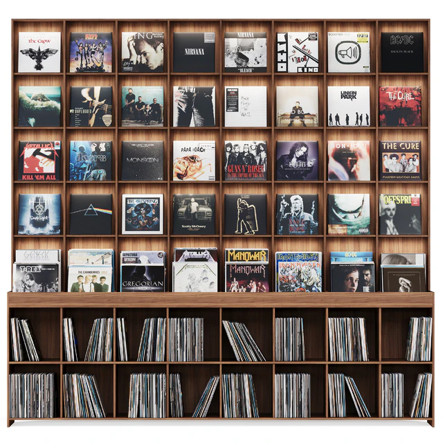 Rack with vinyl records for home or store — Descargar
