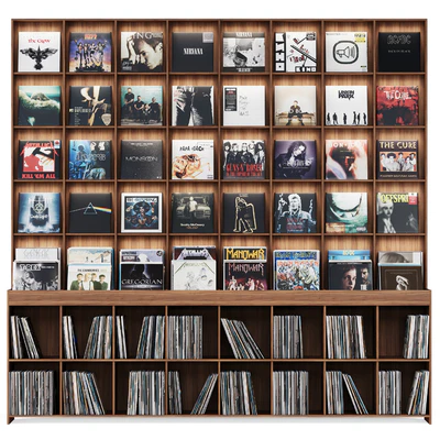 Rack with vinyl records for home or store — Ver 5