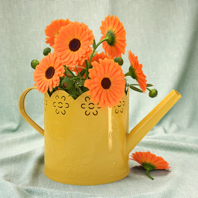 Calendula — Ver 3