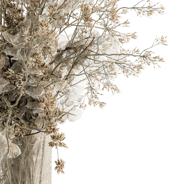 Bouquet Set 31 - Dried Plant Decoration — Скачать