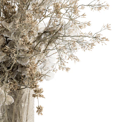 Bouquet Set 31 - Dried Plant Decoration — Вид 3