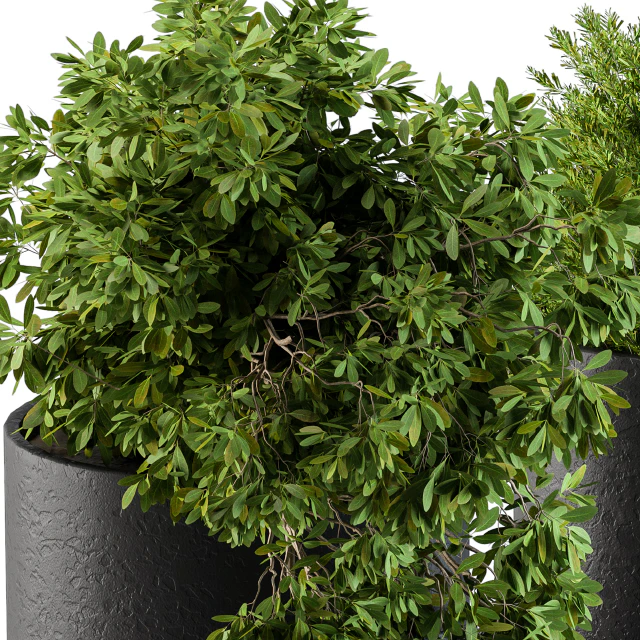 Plants set 47 — Скачать