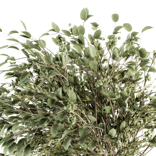 Bouquet - Green Branch in vase 59 — Descargar