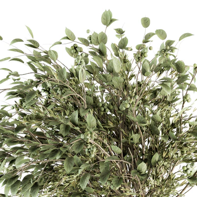 Bouquet - Green Branch in vase 59 — Ver 4