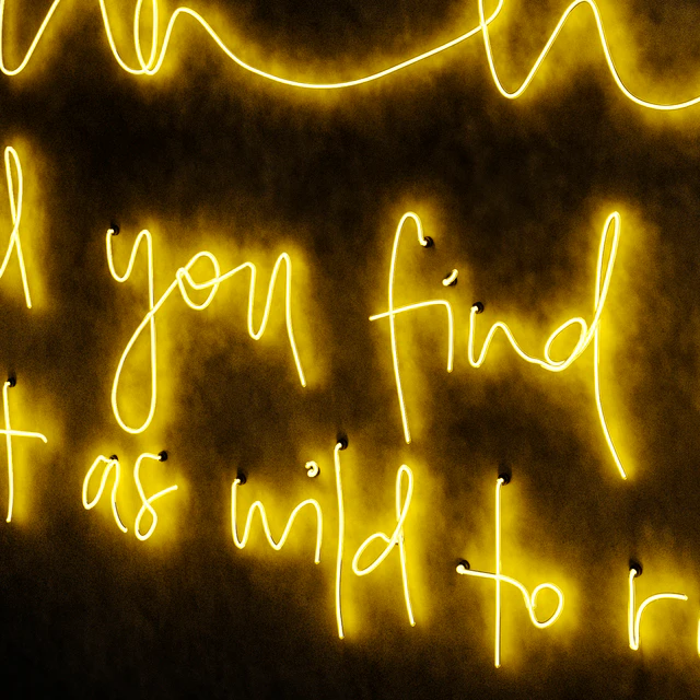 Run wild until you find someone Neon light — Download