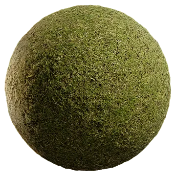 grass cut 026 — Download