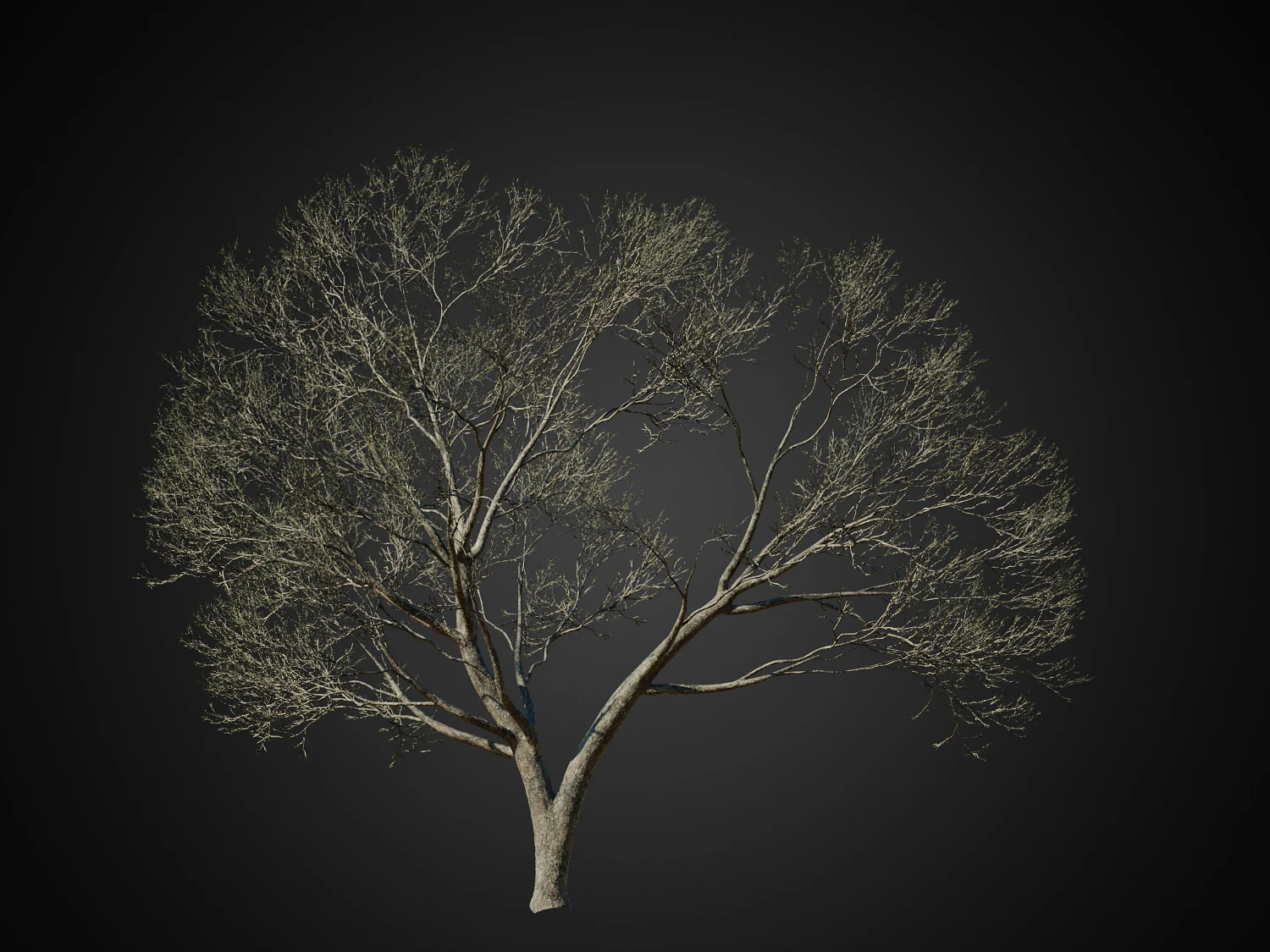 004 — Descargar