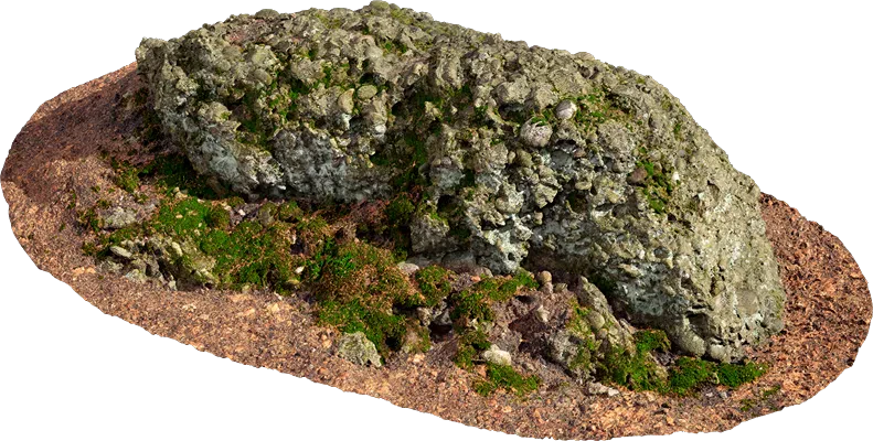 mossy forest rock 011 — Скачать
