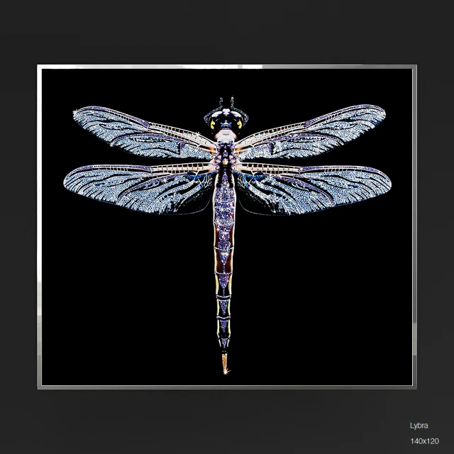 IPE CAVALLI VISIONNAIRE Lybra — Скачать