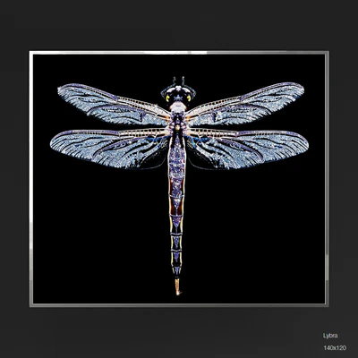 IPE CAVALLI VISIONNAIRE Lybra — Вид 1