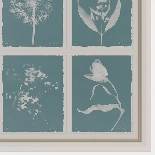 Charlotte Morgan Wild Meadow Flowers Nine Piece — Descargar