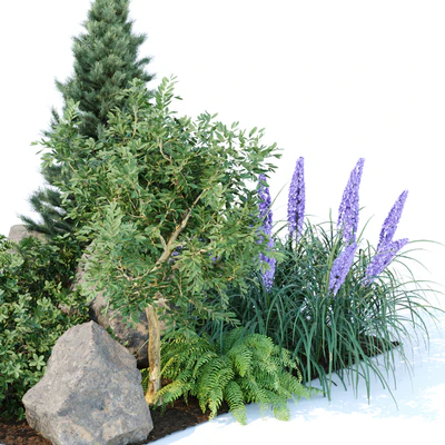 outdoor garden plants collection vol 69 — Вид 2