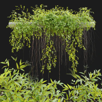 Hanging Plant 25 — Ver 1