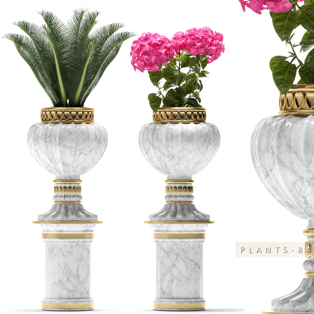 PLANTS 84 — Descargar