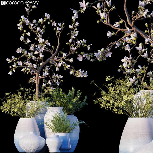 Magnolia / Microsorum pteropus — Descargar