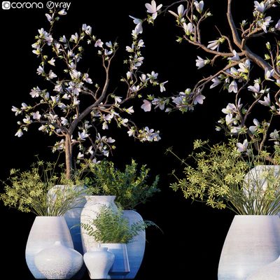 Magnolia / Microsorum pteropus — Descargar