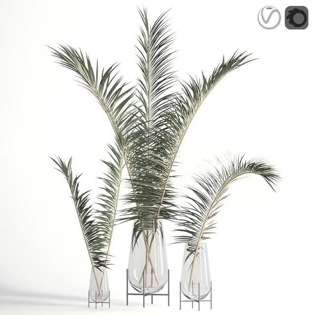 Dry palm leaves in Echasse vases — Descargar