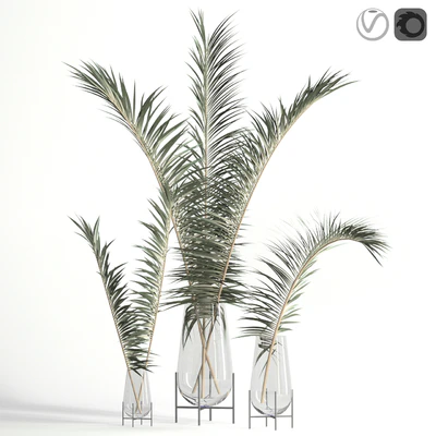 Dry palm leaves in Echasse vases — Ver 1