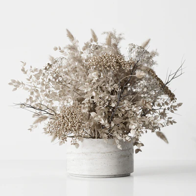 Dried Flower — Ver 1