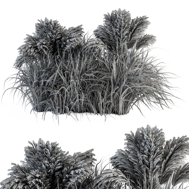 Pampas Bush - Bush Set 21 — Descargar