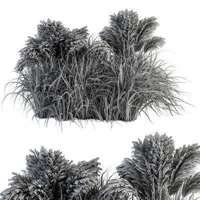 Pampas Bush - Bush Set 21 — Ver 3