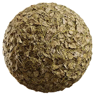 fallen leaves and grass 005 — Descargar