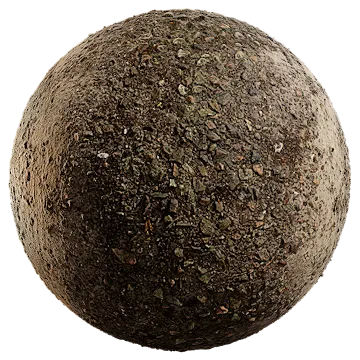 rocky forest path 004 — Скачать