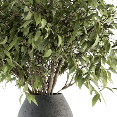 Bouquet - Green Branch in vase 45 — Ver 3