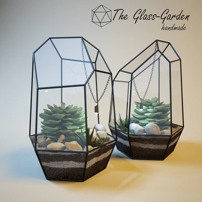 The Glass-garden (настольный террариум) — Вид 1