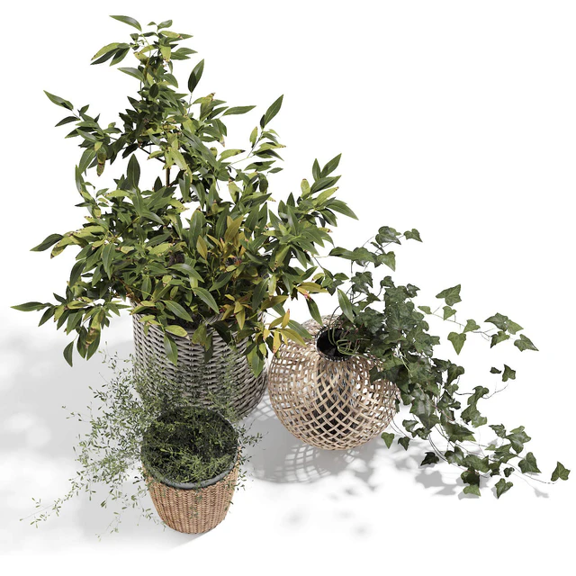 Green set — Скачать