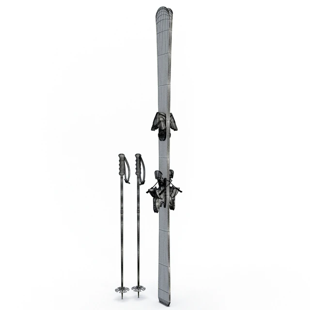 Skis and sticks — Descargar